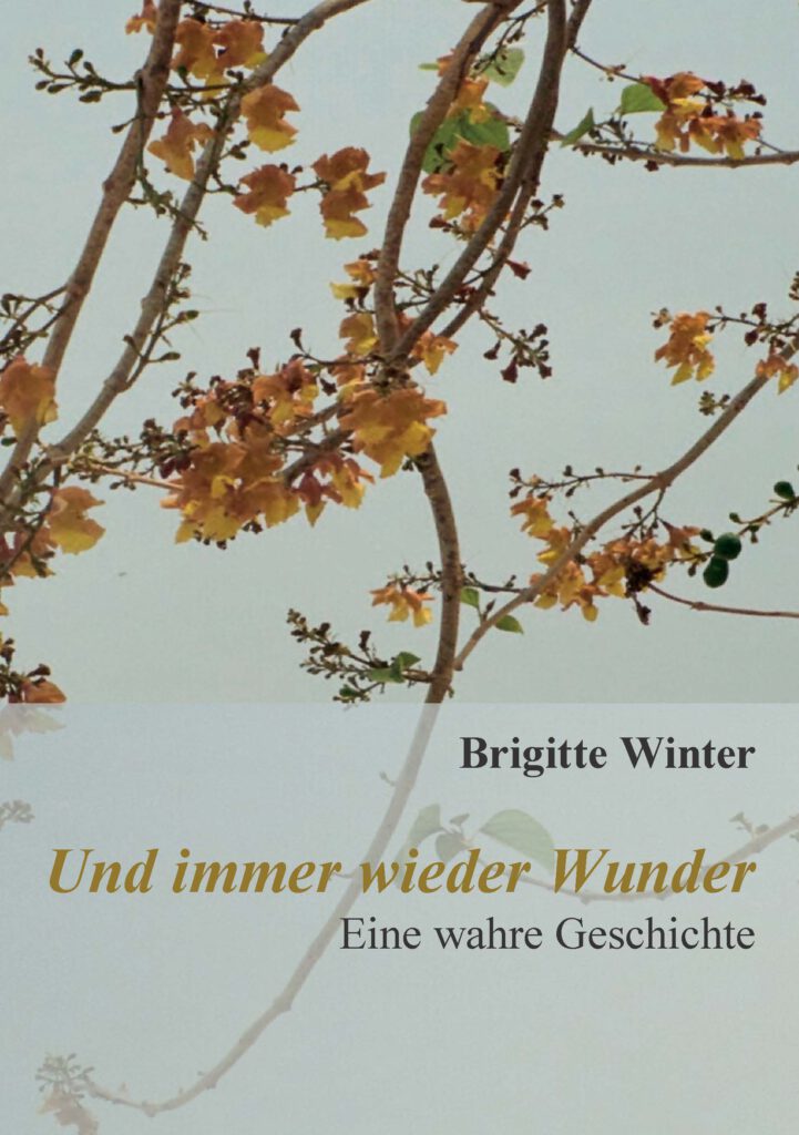 CoverWinterUndimmerwiederWunder